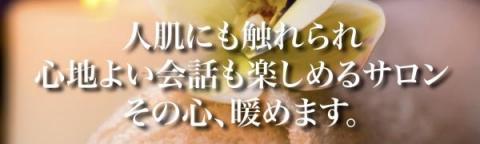 X܉摜